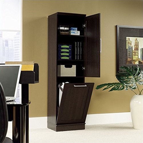 Sauder Homeplus Storage Cabinet in Dakota Oak