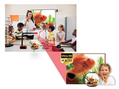Lumens 4K USB/HDMI Document Camera with LED Light, 13MP CMOS, 30x Zoom