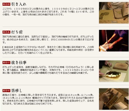 Platinum Maki-e fountain pen Kanazawa foil goldfish fine print (F) PTL-15000H # 24-2 (japan import)