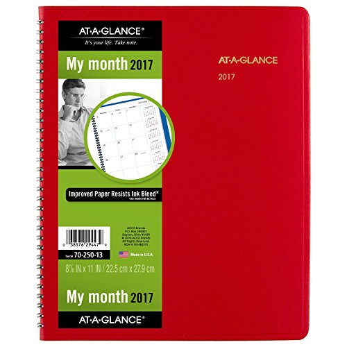 AT-A-GLANCE Monthly Planner / Appointment Book 2017, 15 Months, 9 x 11", Fashion Color, Red (7025013)