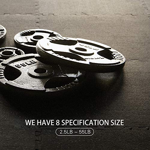 RitFit Grip Plate for Barbell, 2-inch Iron Olympic Weight Plate for Weightlifting and Strength Training in Home & Gym(45LB, Pair)