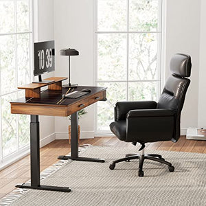 EUREKA ERGONOMIC Electric Standing Desk with Drawers, 55" Height Adjustable, Monitor Shelf, APP Control, Sintered Stone Desktop - Black/Walnut