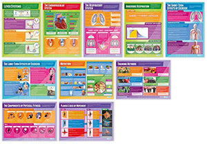 Physical Education Posters - Set of 40 | PE Posters | Gloss Paper measuring 33” x 23.5” | Physical Education Charts for the Classroom | Education Charts by Daydream Education