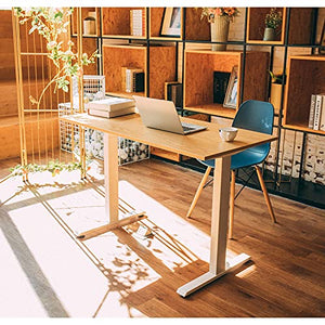 Electric Standing Desk Height Adjustable Dual Motor Sit to Stand Desk Ergonomic Stand up Desk Base Workstation (White Frame+48" x 24" Wood Color Top)