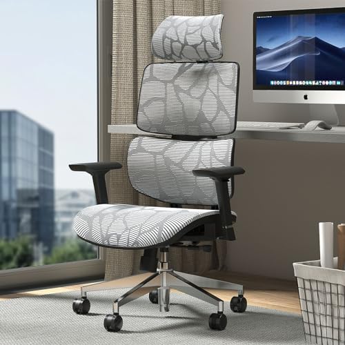 TONFARY Ergonomic Mesh Office Chair with Lumbar Support, Adjustable Headrest, and 4D Armrests