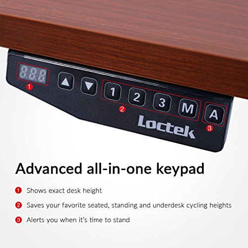 Loctek HAD2B Sit Stand Desk Frame Dual Motors Electric Height Adjustable Home Office Desk Base (Black)