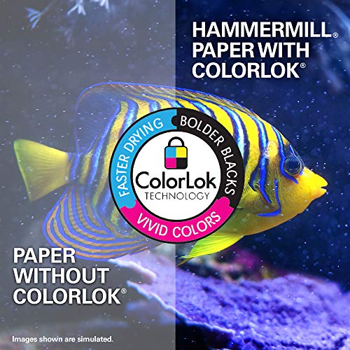 Hammermill Tidal 20lb Copy Paper, 8.5x11, 40 Case Pallet, 5,000 Sheets/Case, 200,000 Sheets, Made in USA, Sustainably Sourced From American Family Tree Farms, Acid Free, Multi-purpose Paper, 162008P