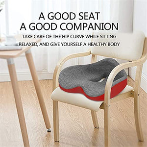 GIENEX Seat - Memory Foam Sit Bone Relief Cushion