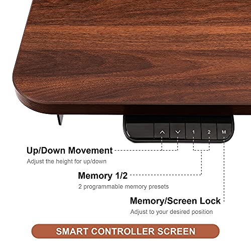 HOUSEELF Electric Height Adjustable Standing Desk - 48 x 24 Inches Stand Up Computer Writing Desk with Smart Memory Screen for Home, Office, Workstation, Black Frame & Walnut Top