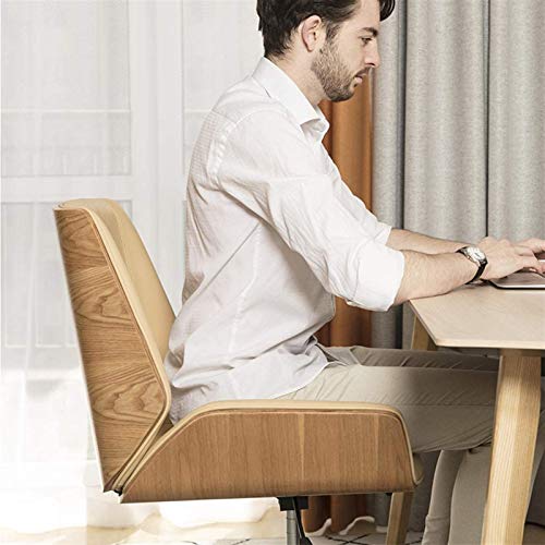 HDZWW Video Game Chairs Home Office Desk Chairs Office Chairs with Lumbar Support Office Chairs & Sofas Modern Boss Office Chair,Home Study Computer Desk Chair,Nordic Gaming Chair Swivel Chair