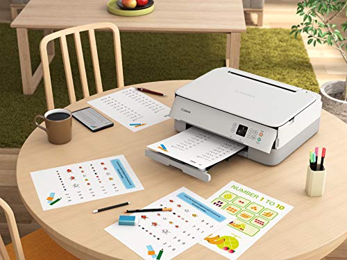 PIXMA TS6420a White Wireless Inkjet All-in-One Printer