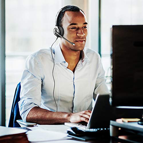 Leitner Plush LH255XL Dual-Ear USB Computer VoIP Headset – Includes 5-Year Warranty (LH255 XL Plush)