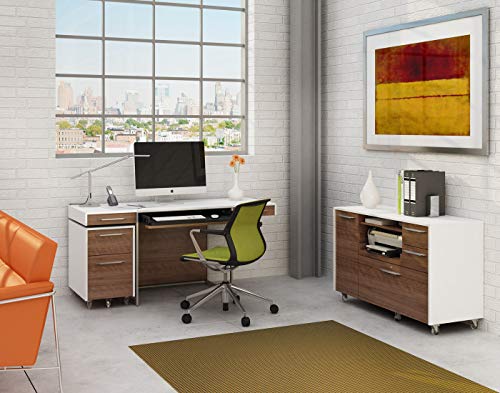 BDI Furniture 6307 SW/WL Format File Cabinet, Natural Walnut