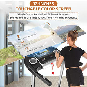 SYTIRY Treadmill with Large 10" Touchscreen and WiFi Connection, YouTube, Facebook and More, 3.25hp Folding Treadmill, Cardio Fitness Running Machine for Walking and Jogging