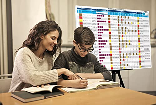 Portfolio Management Board Set, Full Magnetic Board with 666 pieces of magnetic status indicators and accessories. Enables full control over project management, sales tracking and portfolio management