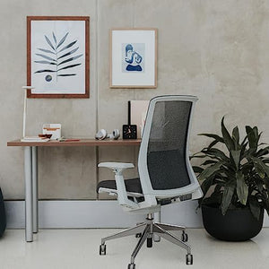 Haworth Very Mesh Office Chair - Stylish Ergonomic Desk Chair with Lumbar Support (Coal)