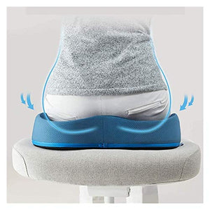 HHWKSJ Memory Foam Seat and Lumbar Cushion Combo - Gel Infused - Coccyx & Tailbone Support