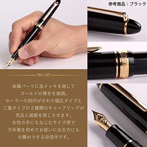 Sailor Profit Standard 21 Fountain Pen Extra Fine Nib Black 11-1521-120