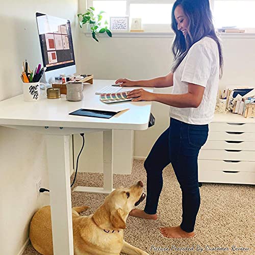 Flexispot EN1 Electric White Stand Up Desk Workstation with 48 x 30 Inches Whole-Piece Desktop Ergonomic Memory Controller Adjustable Height Standing Desk Primo(White Frame + 48" White Desktop)