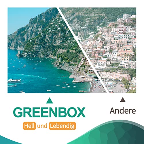 GREENBOX (with CHIP) Compatible Toner Cartridge Replacement for HP 58A CF258X 58X CF258A for Pro M404dn M404n M404dw MFP M428fdw M428dw M428fdn Toner Printer M404 M428 (Black 2-Pack)