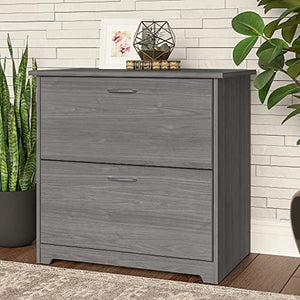 Bush Furniture Cabot 2-Drawer Lateral File Cabinet, Modern Gray 31-Inch