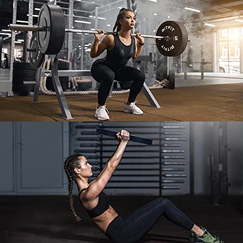 RitFit 2 Inch Olympic Weight Plate, Bumper Plates With Steel Insert, Olympic Barbell Weight Plates for Gym and Home, Single, Pair and Sets（45LB, Pair)