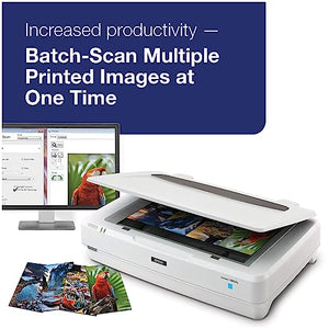 Epson Expression 13000XL Archival Photo and Graphics Flatbed Scanner