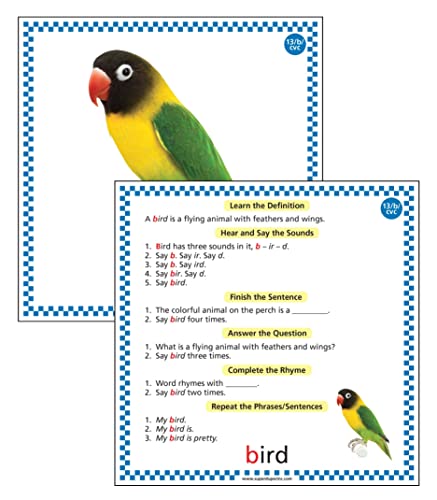 Super Duper Publications | Webber® Big Apraxia Photo Cards | Organized Words by Syllable for Ease of Speech Production | Vowels and Consonants | Basic Syllable Shapes | Activities with Instructions