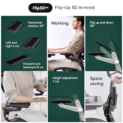 HINOMI H1 Pro V2 High Back Ergonomic Office Chair with Leg Rest, Foldable Design, Black