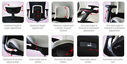 GM Seating Ergolux Genuine Leather Executive Hi Swivel Chair Chrome Base with Headrest, Black