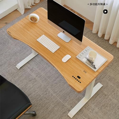 SanzIa Electric Standing Desk with Drawer, Adjustable Height Sit Stand Up Desk