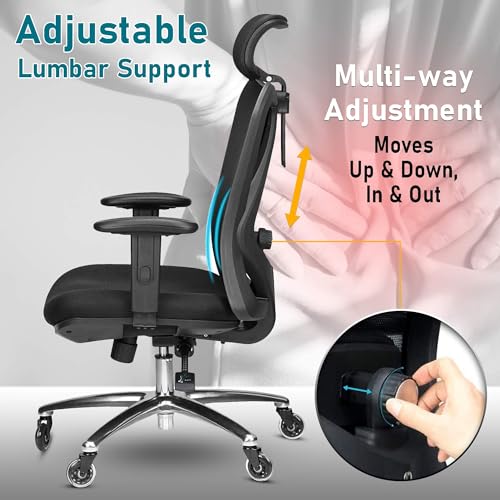 Duramont Ergonomic Office Chair with Lumbar Support, Rollerblade Wheels, and Mesh Design