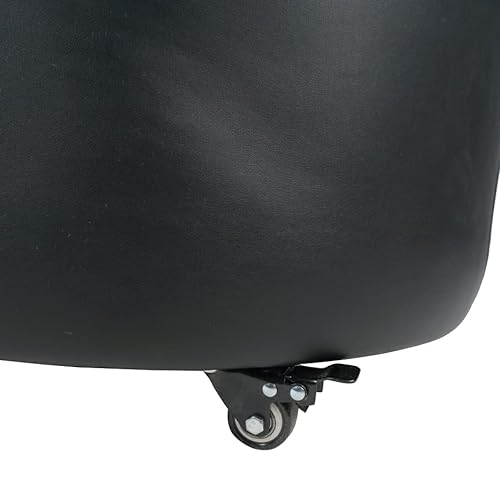 MAYAKOBA Isabella Guest Chair Set of 2 Luxury Soft Leather with Lockable Casters, Coffee
