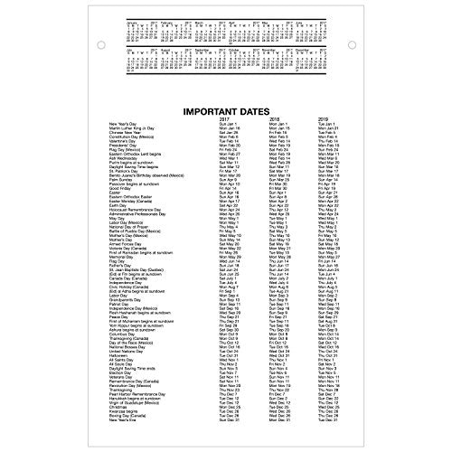 AT-A-GLANCE Daily Desk Calendar Refill 2017, 5 x 8" (E458-50)