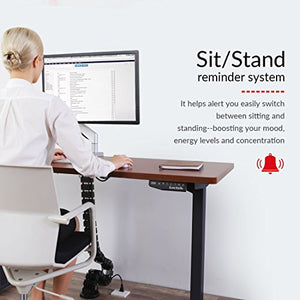 Loctek HAD2B Sit Stand Desk Frame Dual Motors Electric Height Adjustable Home Office Desk Base (Black)