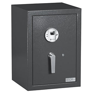 Protex Biometric Burglary Safe (HZ-53)