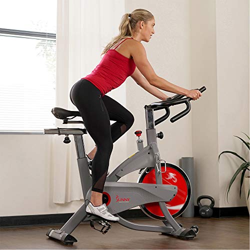 Sunny Health & Fitness AeroPro Indoor Cycling Bike - SF-B1711, Grey
