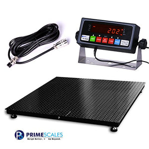 Prime Scales 10000x1lb Floor Scale | Pallet Scale with SFL Indicator (48"x60")
