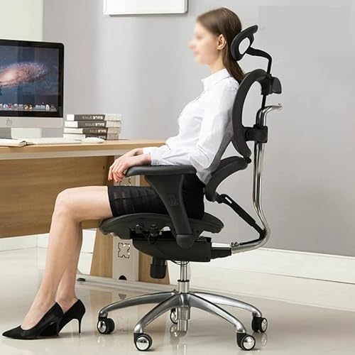 BALAMI Ergonomic Computer Chair with Lumbar Support
