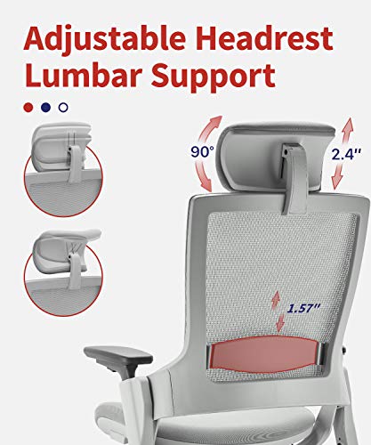 CLATINA Ergonomic High Swivel Executive Chair with Adjustable Height Headrest, 3D Armrest, Lumbar Support, Gray Mesh/High Back