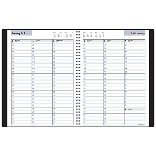 DayMinder Weekly Planner / Appointment Book 2017, Wirebound, 8 x 11", Black (G520-00)