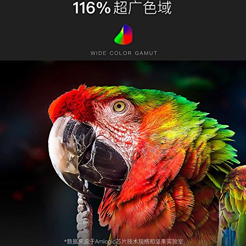 CACACOL Updated JmGO U1 Laser TV Home Cinema Projector | Native 4K UHD | Ultra Short Throw | ALPD 3.0 | 2400 ANSI Lumens | HDR10 | Dolby DTS Hi-Fi Sound | Global Version