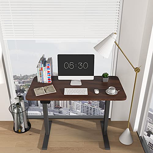 HOUSEELF Dual Motor Electric Standing Desk - 48 x 24 Inches Height Adjustable Computer Desk with Greater Motor Power, Stand Up Writing Table for Home, Office, Workstation, Walnut
