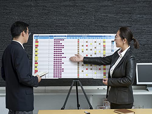 Portfolio Management Board Set, Full Magnetic Board with 666 pieces of magnetic status indicators and accessories. Enables full control over project management, sales tracking and portfolio management