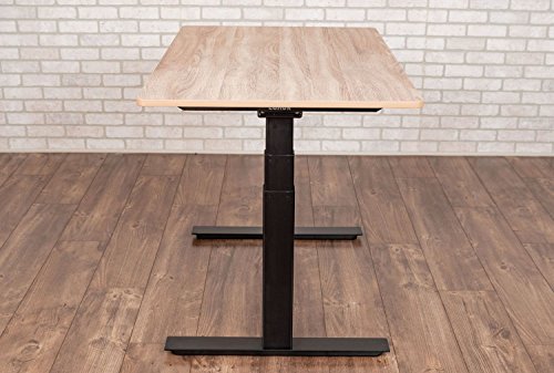 Luxor 48" W Dual Motor 3 Stage Electric Stand Up Desk - White Oak
