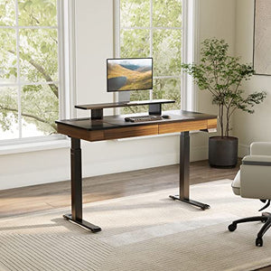 EUREKA ERGONOMIC Standing Desk with 2 Drawers, 55" Dual-Motor Height Adjustable Sit Stand Up Desk