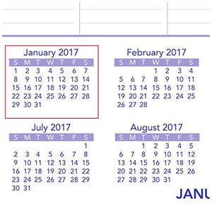 AT-A-GLANCE Wall Calendar 2017, Monthly, 12 x 17", Ruled, Wirebound (PM2-28)