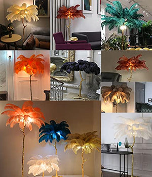 YAsao Ostrich Natural Feather LED Floor Lamp (Orange, 170CM)