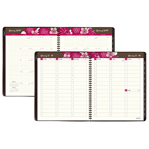 AT-A-GLANCE Weekly / Monthly Appointment Book / Planner 2017, Sorbet, 8-1/4 x 10-7/8" (794-905)
