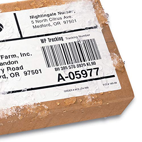 Avery WeatherProof Mailing Labels,TrueBlock Technology, Laser Printers, 5-1/2" x 8-1/2", Bulk Pack of 1,000 Labels (95526)